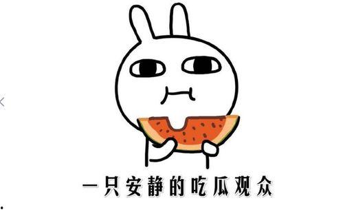 快手网红吃瓜黑料是真的吗